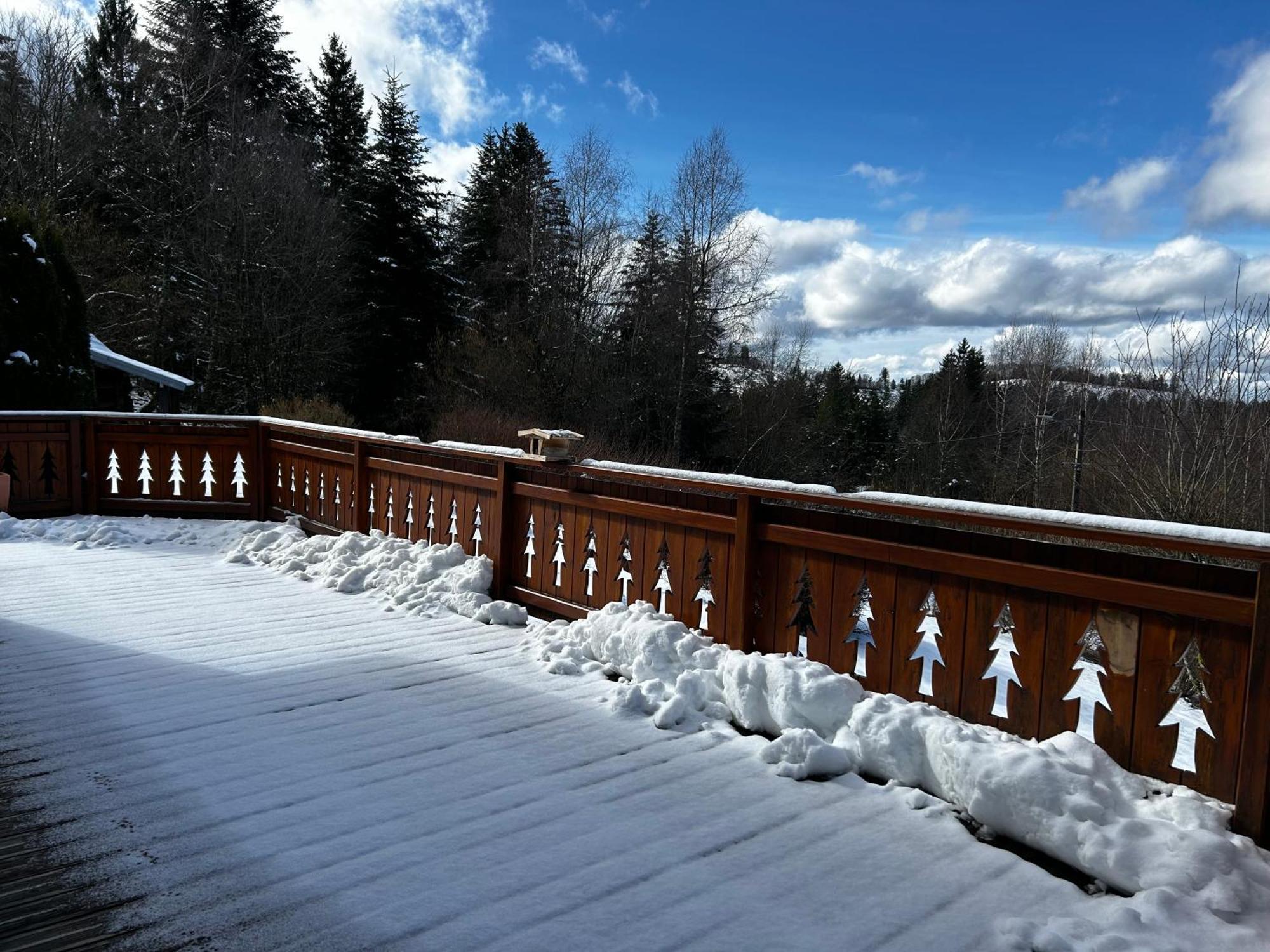 Chalet Avec Jacuzzi Prive, Vue Sur Les Vosges Belfahy المظهر الخارجي الصورة